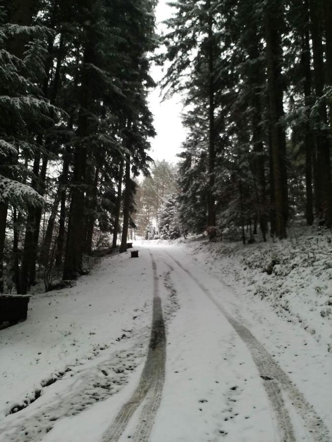 Domek Na Gorce Bieszczady Lesko Luaran gambar