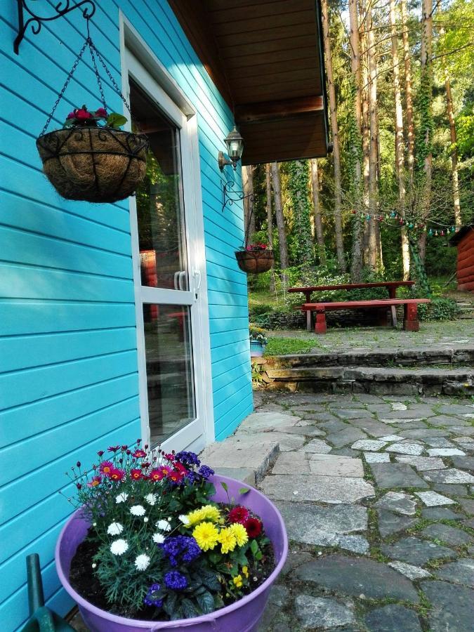 Domek Na Gorce Bieszczady Lesko Luaran gambar